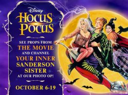 Hocus Pocus Night Flyer